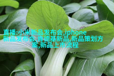 玻璃双球式反馈冷却器