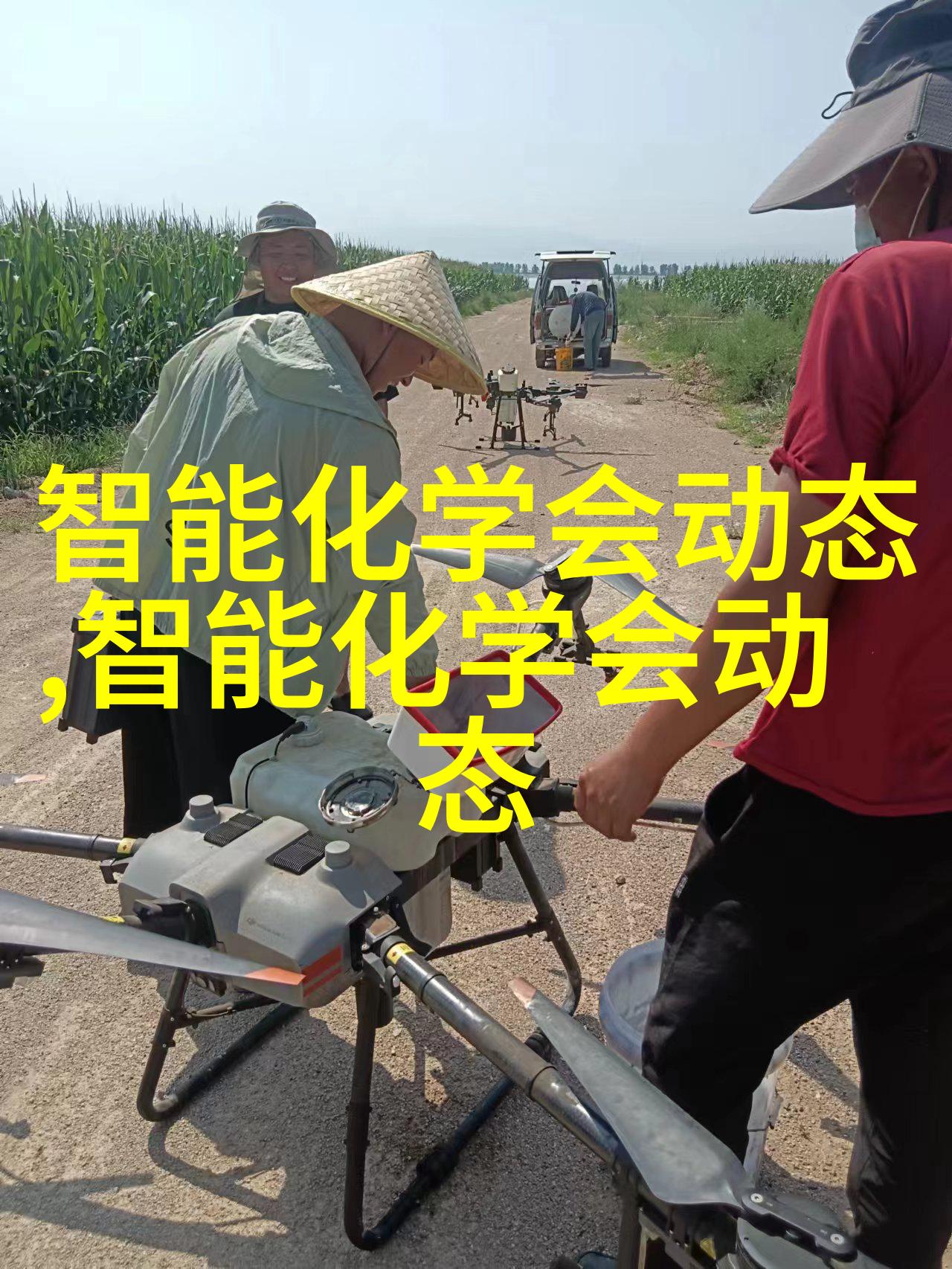 示例图片2