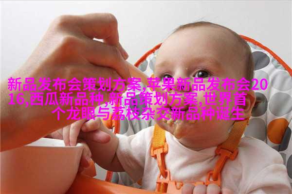 汽车内外净化器