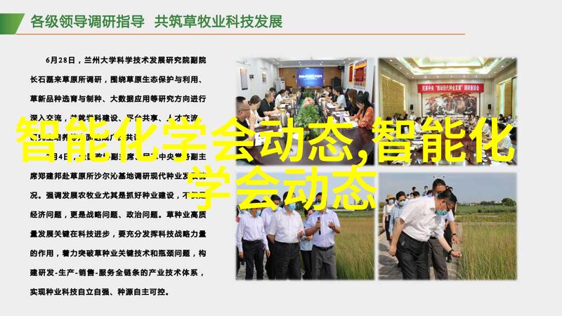 轮胎防滑带