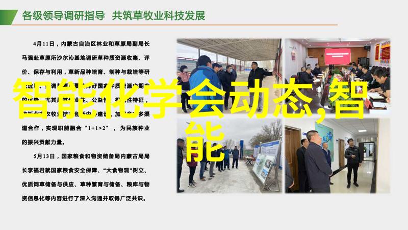 前排气囊