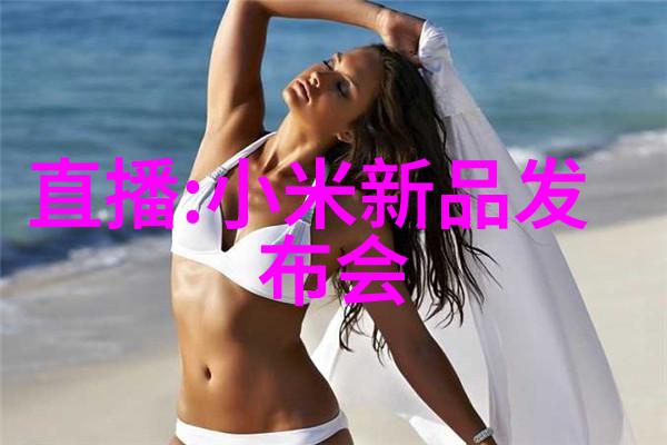 发生装置示意图