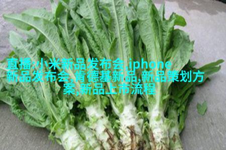 综合示意图：发生塔与混合罐